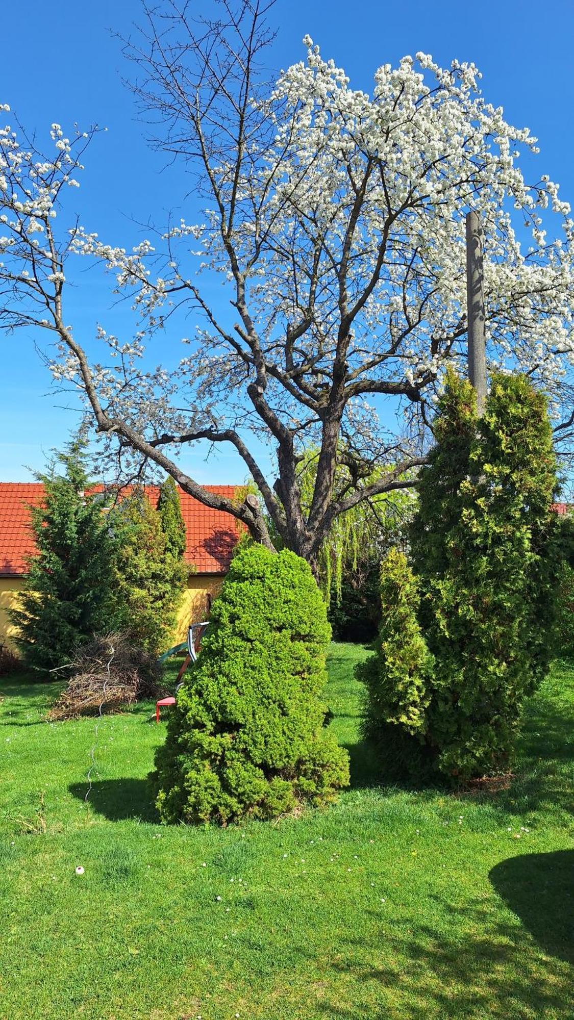 Prague Zbraslav Old Garden Apartment Luaran gambar